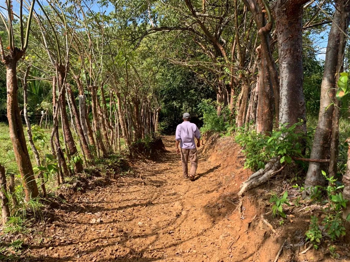 89 HECTARES (219.92 ACRES) PROPERTY FOR SALE, VERAGUAS, TOWN OF HICACO, NEXT TO SANTA CATALINA.