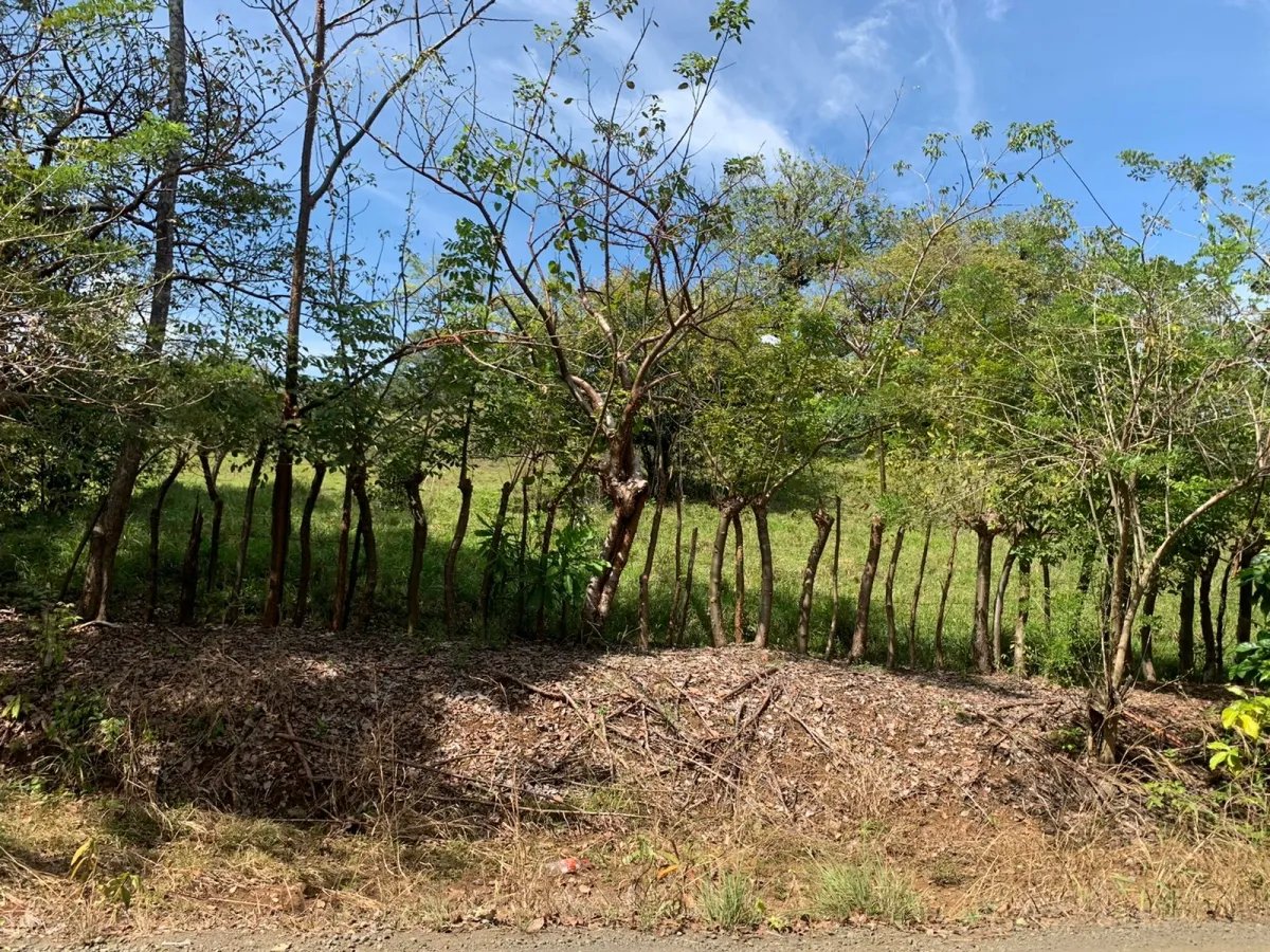 89 HECTARES (219.92 ACRES) PROPERTY FOR SALE, VERAGUAS, TOWN OF HICACO, NEXT TO SANTA CATALINA.