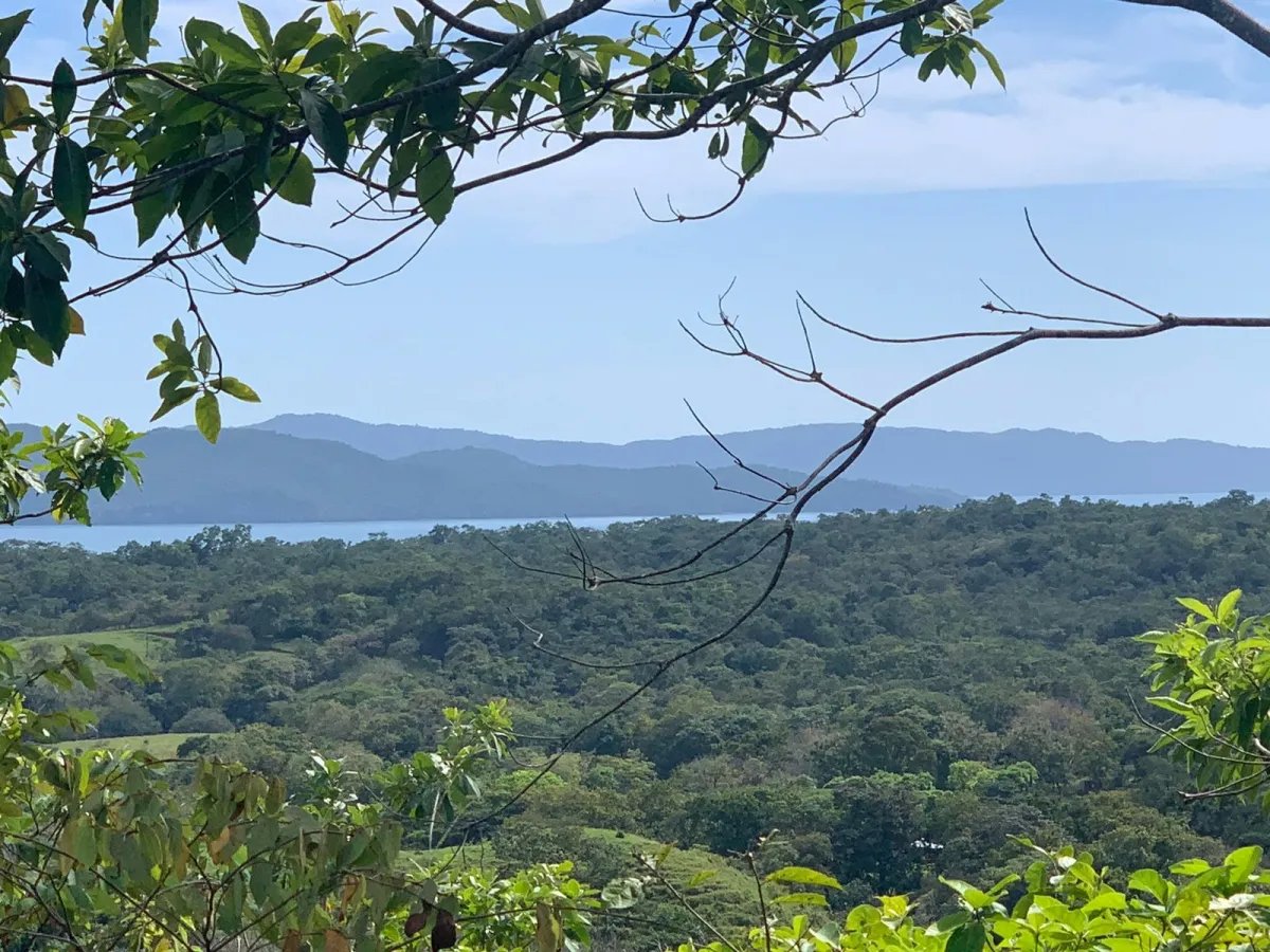 89 HECTARES (219.92 ACRES) PROPERTY FOR SALE, VERAGUAS, TOWN OF HICACO, NEXT TO SANTA CATALINA.