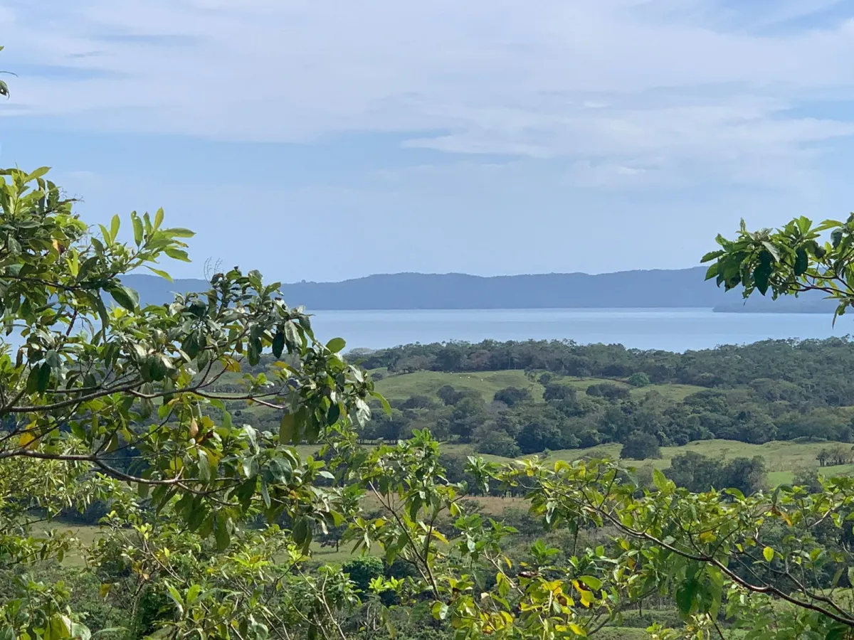FINCA DE 89 HECTAREAS EN VENTA, VERAGUAS, PUEBLO DE HICACO, AL LADO DE...