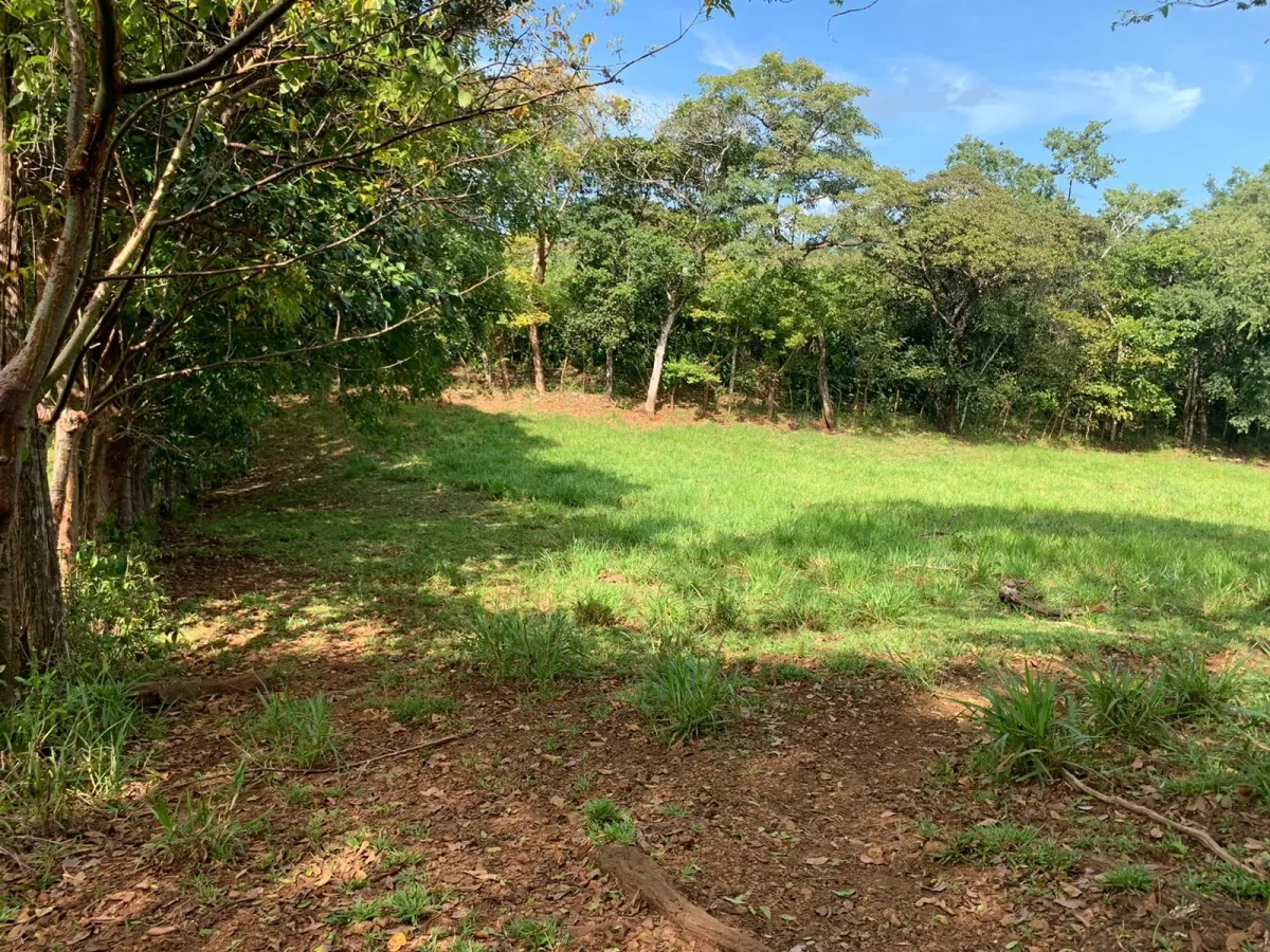 FINCA DE 89 HECTAREAS EN VENTA, VERAGUAS, PUEBLO DE HICACO, AL LADO DE...