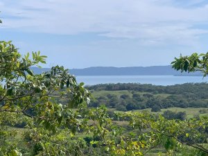 89 HECTARES (219.92 ACRES) PROPERTY FOR ...