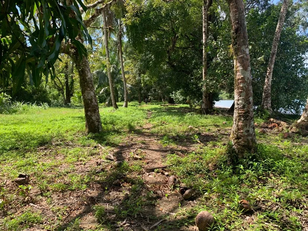 INCREÍBLE PROPIEDAD FRENTE AL MAR EN VENTA, 14 HECTÁREAS (34.59 ACRES)...