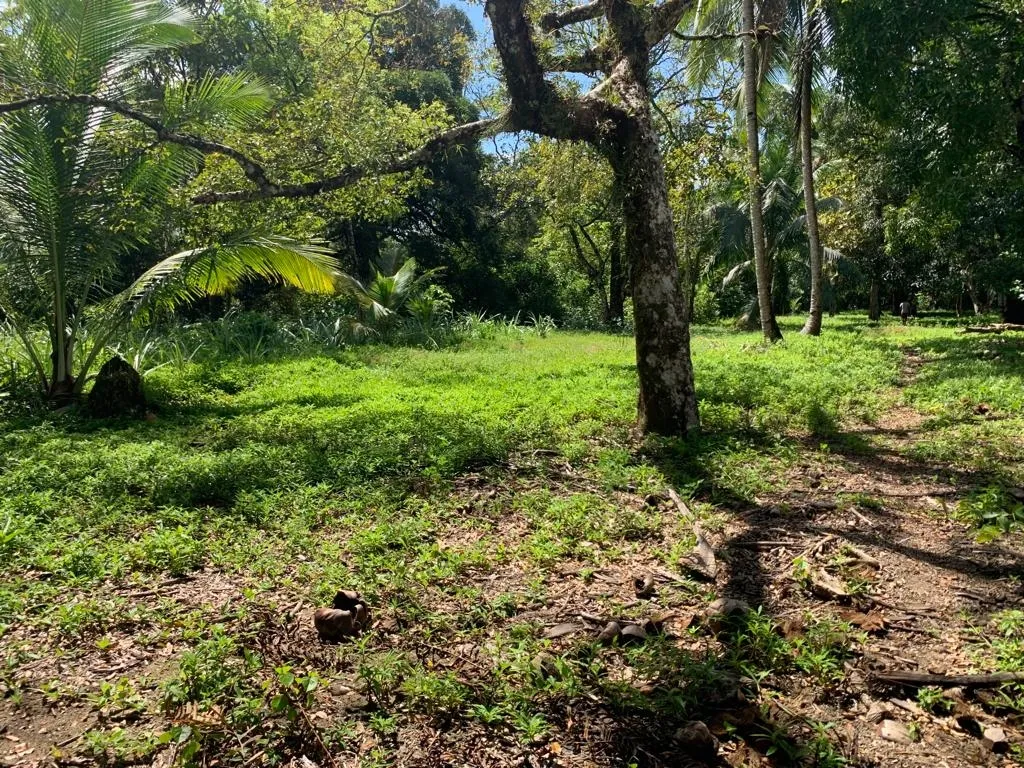 INCREÍBLE PROPIEDAD FRENTE AL MAR EN VENTA, 14 HECTÁREAS (34.59 ACRES)...