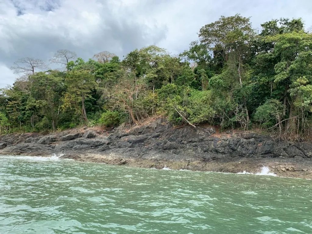 OCEAN FRONT PROPERTY FOR SALE, IN THE DISTRICT OF CHIMAN, REGION OF GO...