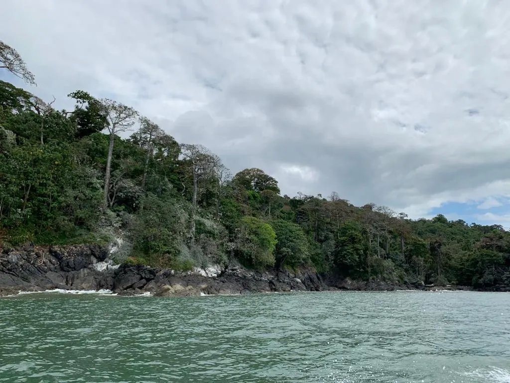 OCEAN FRONT PROPERTY FOR SALE, IN THE DISTRICT OF CHIMAN, REGION OF GO...