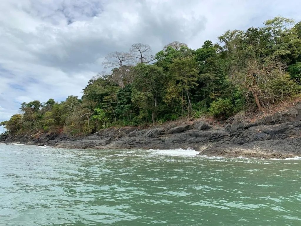 OCEAN FRONT PROPERTY FOR SALE, IN THE DISTRICT OF CHIMAN, REGION OF GO...