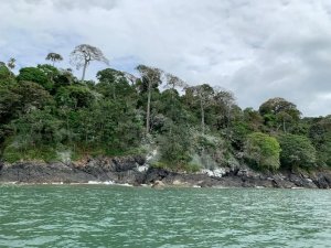 OCEAN FRONT PROPERTY FOR SALE, IN THE DI...