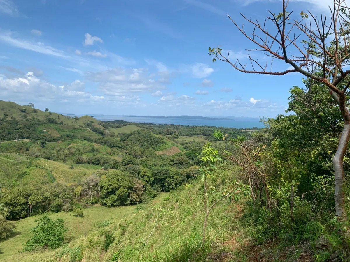 SE VENDE 105 HECTAREAS (259.46 ACRES) CON VISTAS ESPECTACULARES, LA CA...