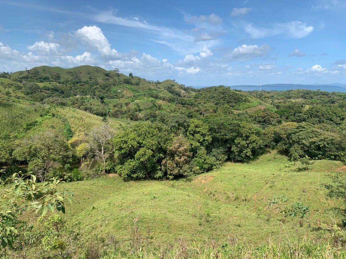SE VENDE 105 HECTAREAS (259.46 ACRES) CON VISTAS ESPECTACULARES, LA CA...