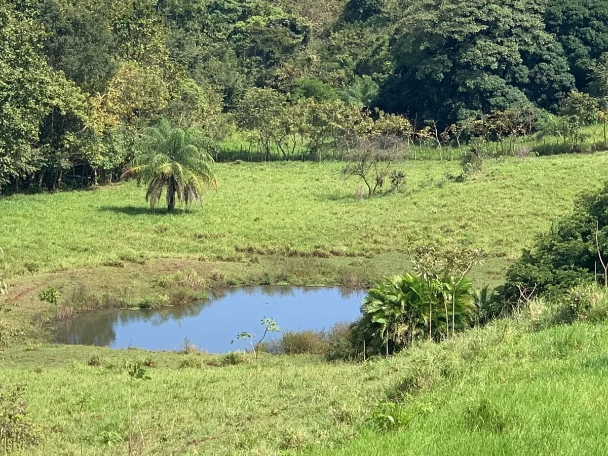 FOR SALE 105 HECTARES (259.46 ACRES) WITH SPECTACULAR VIEWS, THE MAIN ROAD, SANTA CATALINA-HICACO.