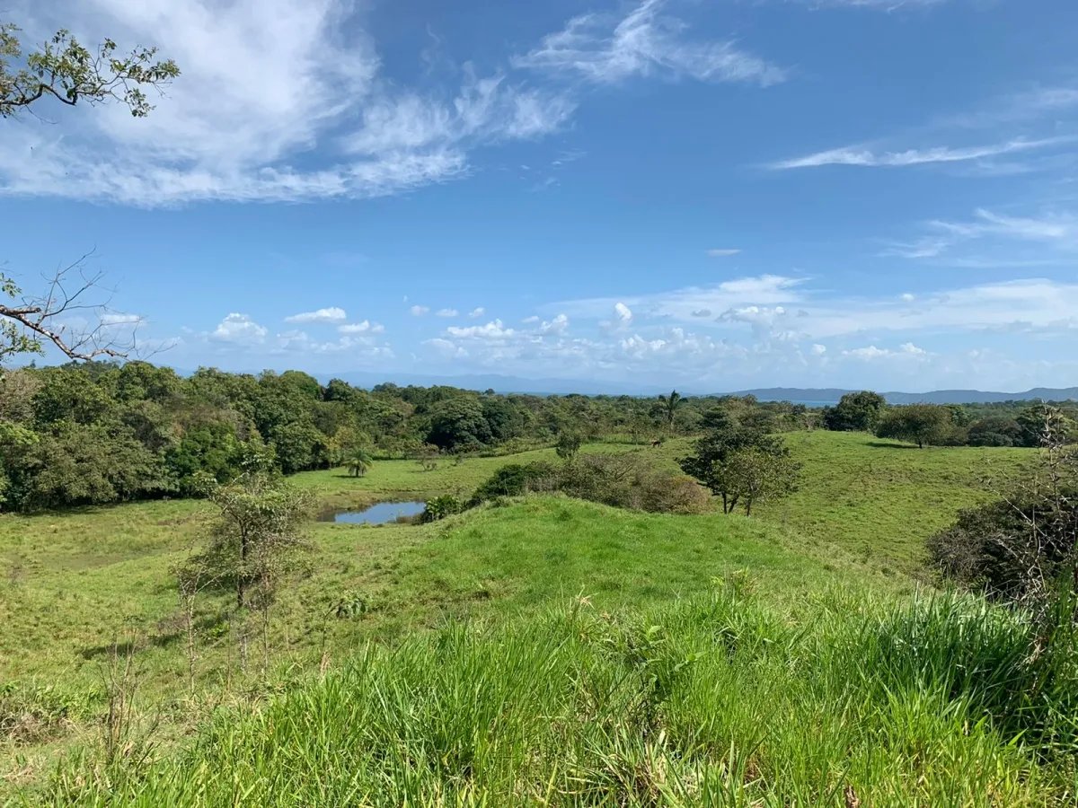 FOR SALE 105 HECTARES (259.46 ACRES) WITH SPECTACULAR VIEWS, THE MAIN ROAD, SANTA CATALINA-HICACO.