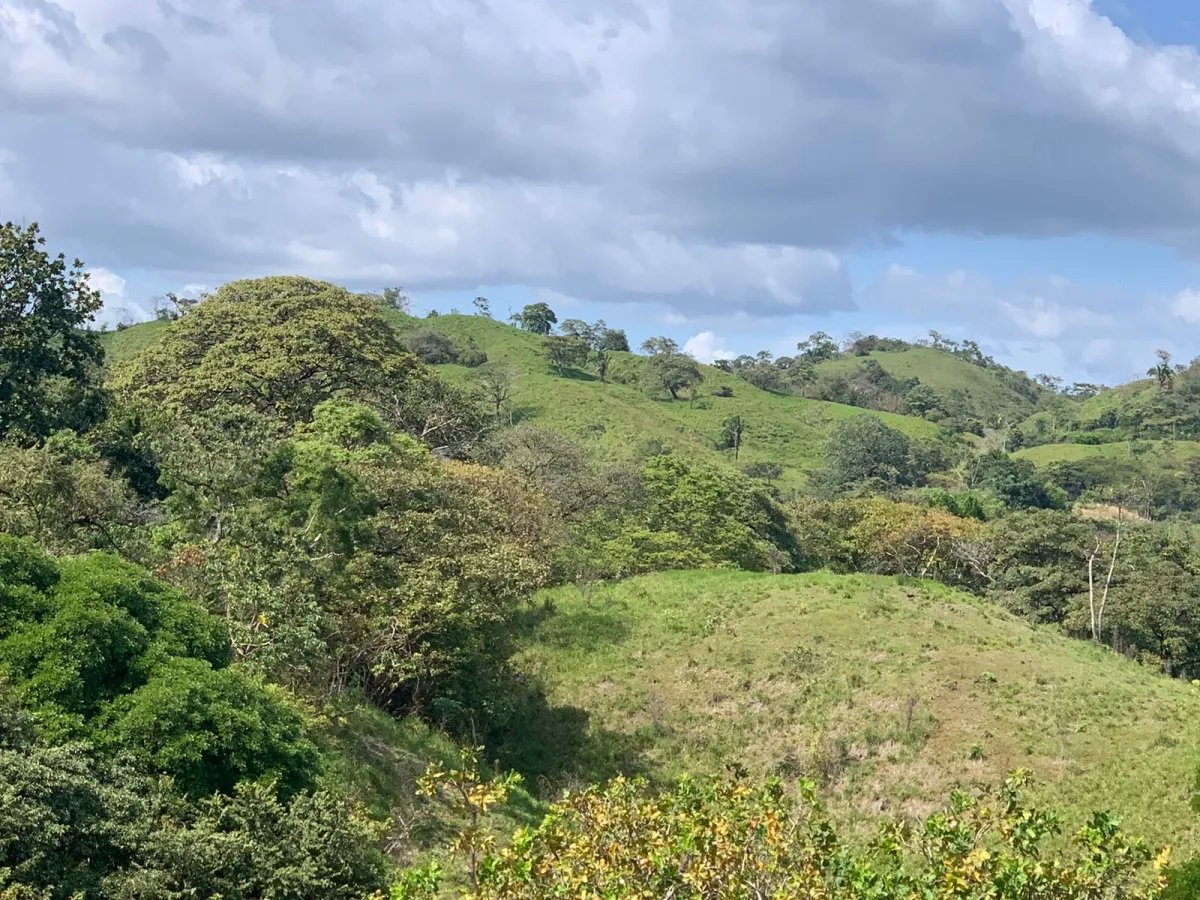 FOR SALE 105 HECTARES (259.46 ACRES) WITH SPECTACULAR VIEWS, THE MAIN ROAD, SANTA CATALINA-HICACO.