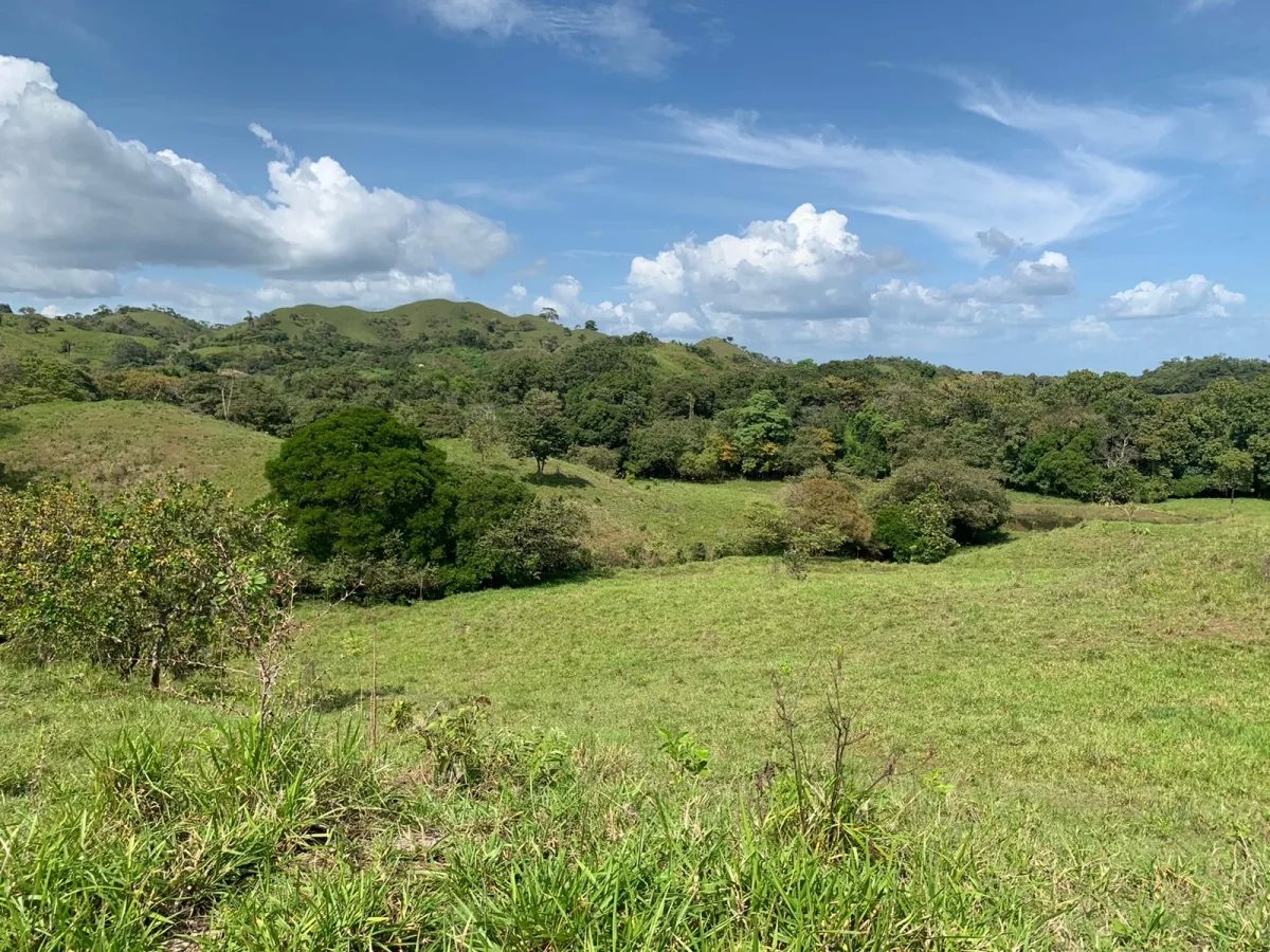 FOR SALE 105 HECTARES (259.46 ACRES) WITH SPECTACULAR VIEWS, THE MAIN ROAD, SANTA CATALINA-HICACO.