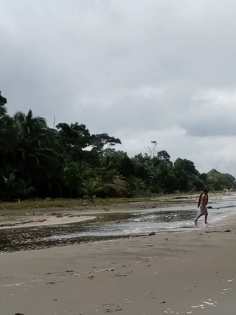 BEACHFRONT PROPERTY FOR SALE, LOCATED ON THE BEACH OF EL BARCO BEJUCO,...
