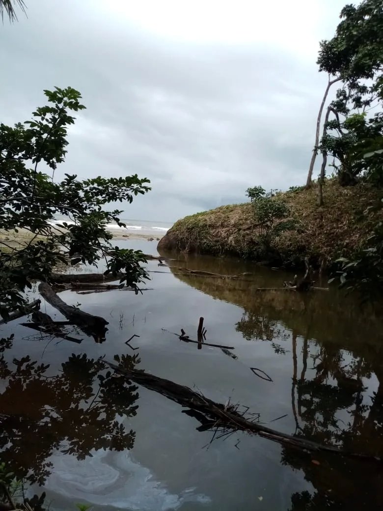 BEACHFRONT PROPERTY FOR SALE, LOCATED ON THE BEACH OF EL BARCO BEJUCO, CALOVEBORA, SANTA FÉ DISTRICT 42 HA (103.78 ACRES).