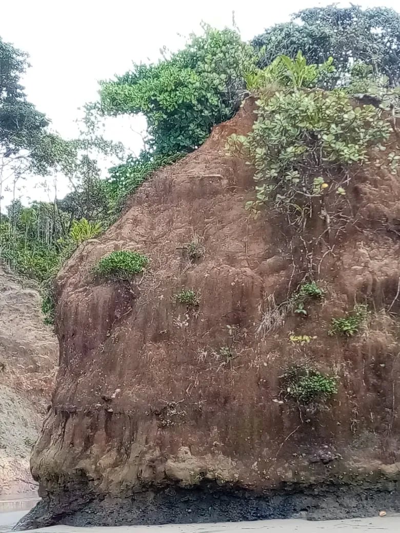 BEACHFRONT PROPERTY FOR SALE, LOCATED ON THE BEACH OF EL BARCO BEJUCO, CALOVEBORA, SANTA FÉ DISTRICT 42 HA (103.78 ACRES).