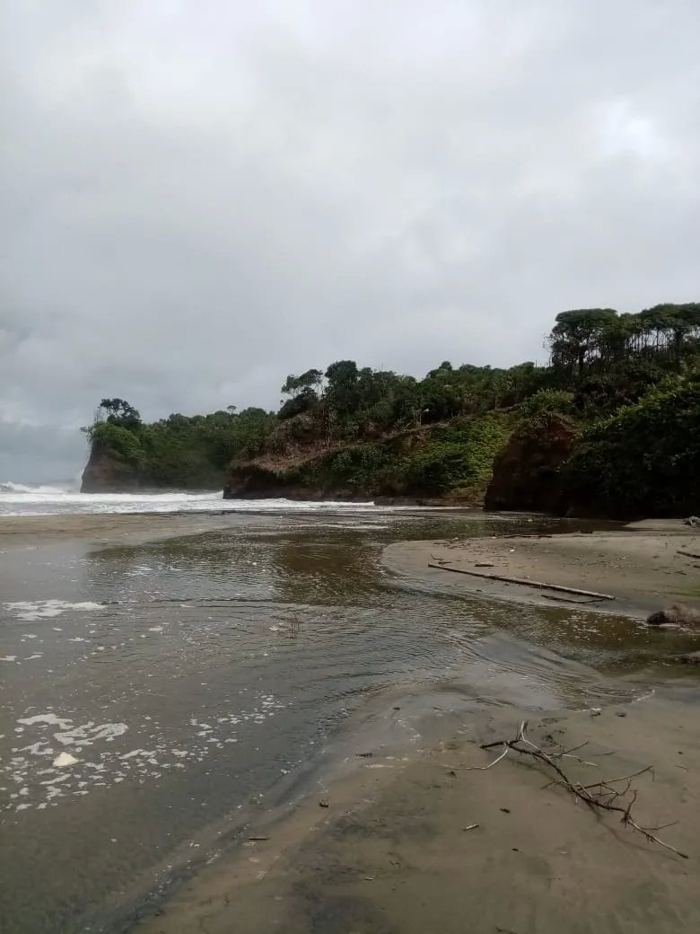 BEACHFRONT PROPERTY FOR SALE, LOCATED ON THE BEACH OF EL BARCO BEJUCO, CALOVEBORA, SANTA FÉ DISTRICT 42 HA (103.78 ACRES).