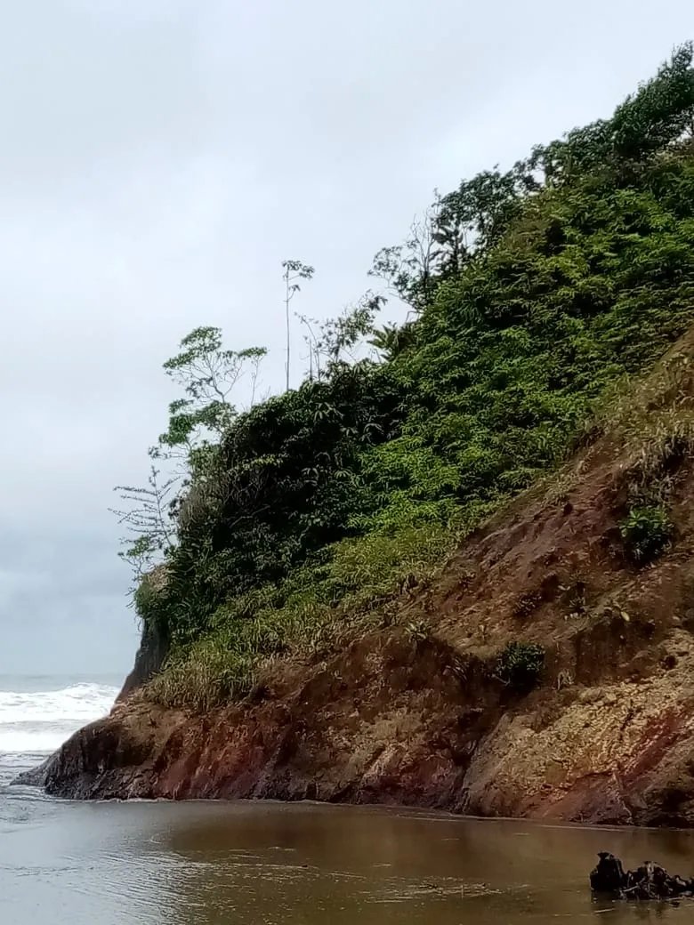 BEACHFRONT PROPERTY FOR SALE, LOCATED ON THE BEACH OF EL BARCO BEJUCO, CALOVEBORA, SANTA FÉ DISTRICT 42 HA (103.78 ACRES).
