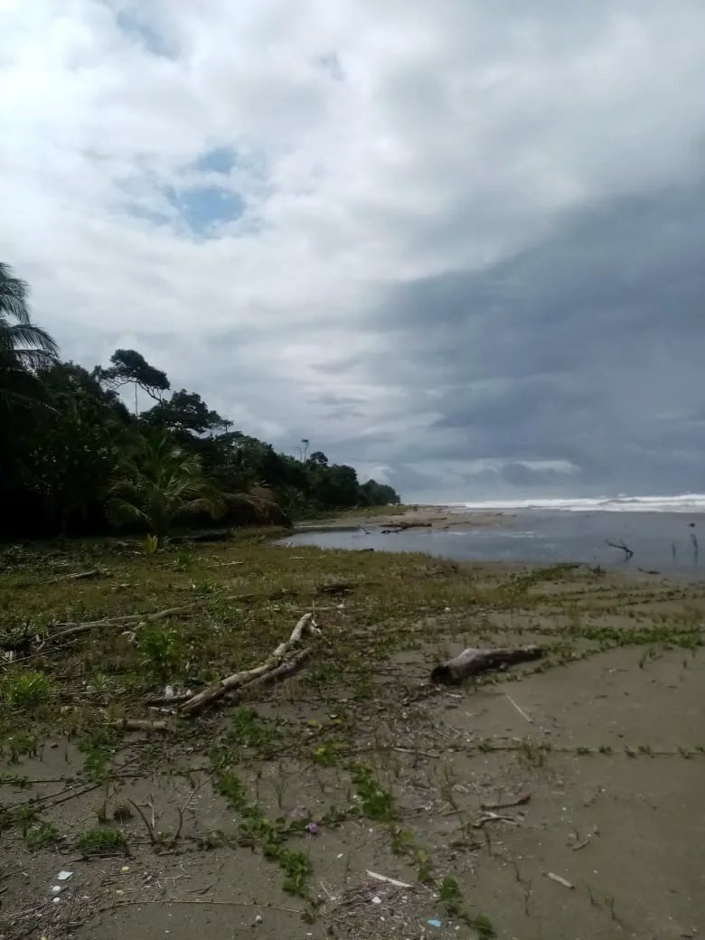 BEACHFRONT PROPERTY FOR SALE, LOCATED ON THE BEACH OF EL BARCO BEJUCO, CALOVEBORA, SANTA FÉ DISTRICT 42 HA (103.78 ACRES).