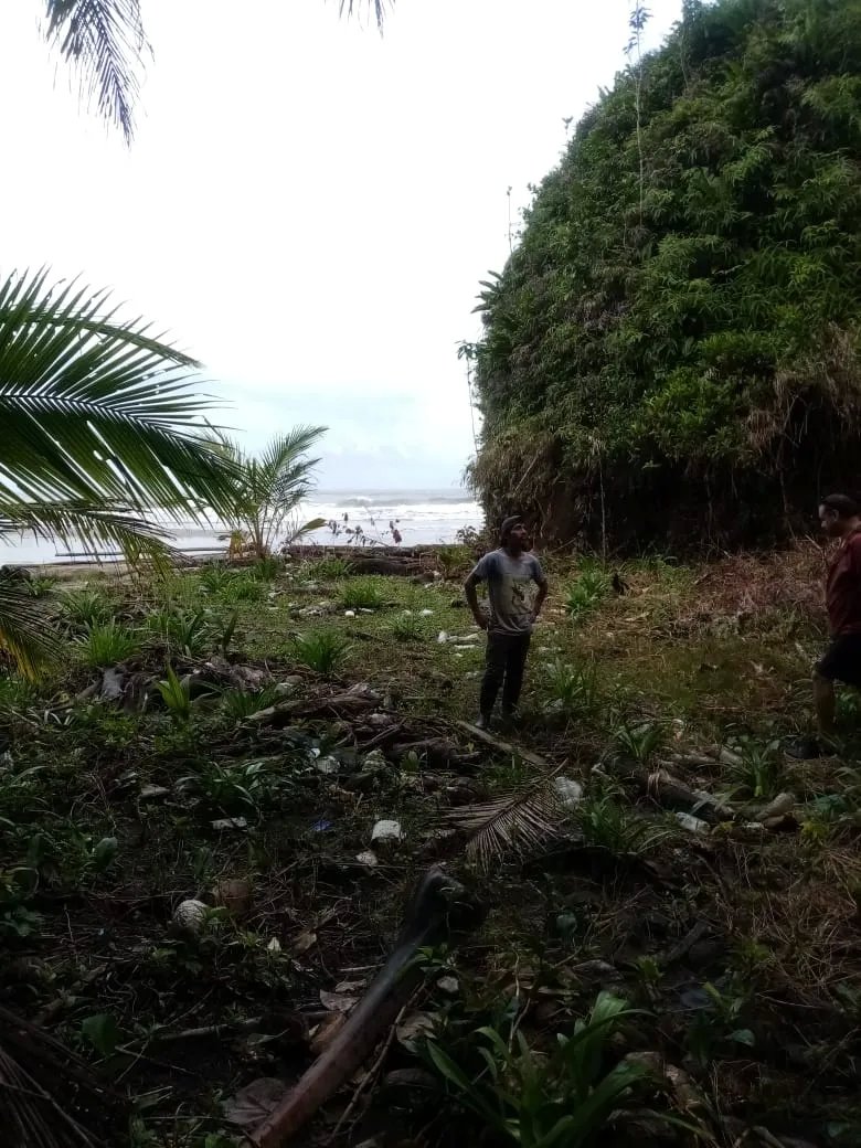 BEACHFRONT PROPERTY FOR SALE, LOCATED ON THE BEACH OF EL BARCO BEJUCO, CALOVEBORA, SANTA FÉ DISTRICT 42 HA (103.78 ACRES).