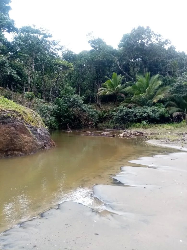 BEACHFRONT PROPERTY FOR SALE, LOCATED ON THE BEACH OF EL BARCO BEJUCO, CALOVEBORA, SANTA FÉ DISTRICT 42 HA (103.78 ACRES).