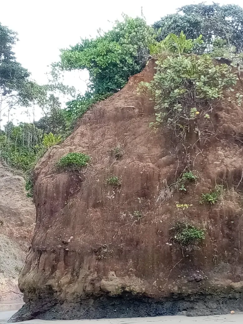 SE VENDE PROPIEDAD FRENTE AL MAR, UBICADA EN LA PLAYA EL BARCO BEJUCO, CALOVEBORA, DISTRITO DE SANTA FÉ 42 HA (103.78 ACRES).