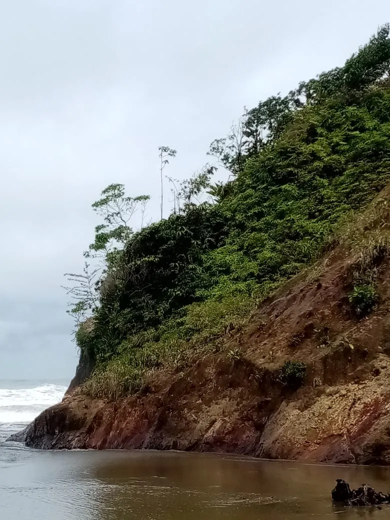 SE VENDE PROPIEDAD FRENTE AL MAR, UBICADA EN LA PLAYA EL BARCO BEJUCO, CALOVEBORA, DISTRITO DE SANTA FÉ 42 HA (103.78 ACRES).