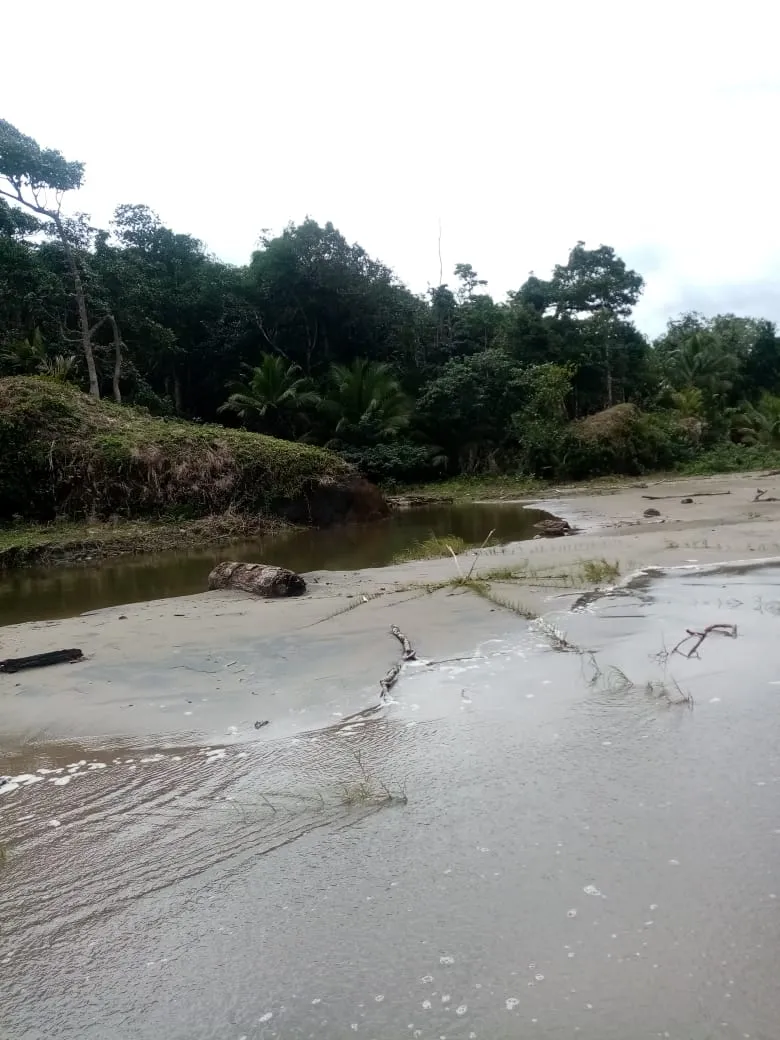 SE VENDE PROPIEDAD FRENTE AL MAR, UBICADA EN LA PLAYA EL BARCO BEJUCO, CALOVEBORA, DISTRITO DE SANTA FÉ 42 HA (103.78 ACRES).