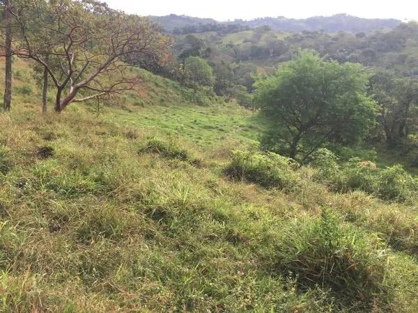Vistas de 360° en colina con acceso a marina en Las Lajas de Tolé, Guabalá, Chiriquí