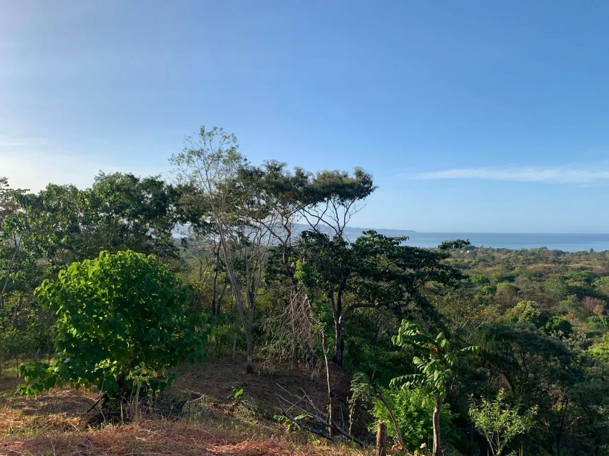 PROPERTY FOR SALE IN SANTA CATALINA, VERAGUAS (THE PROPERTY MEASURES 2...