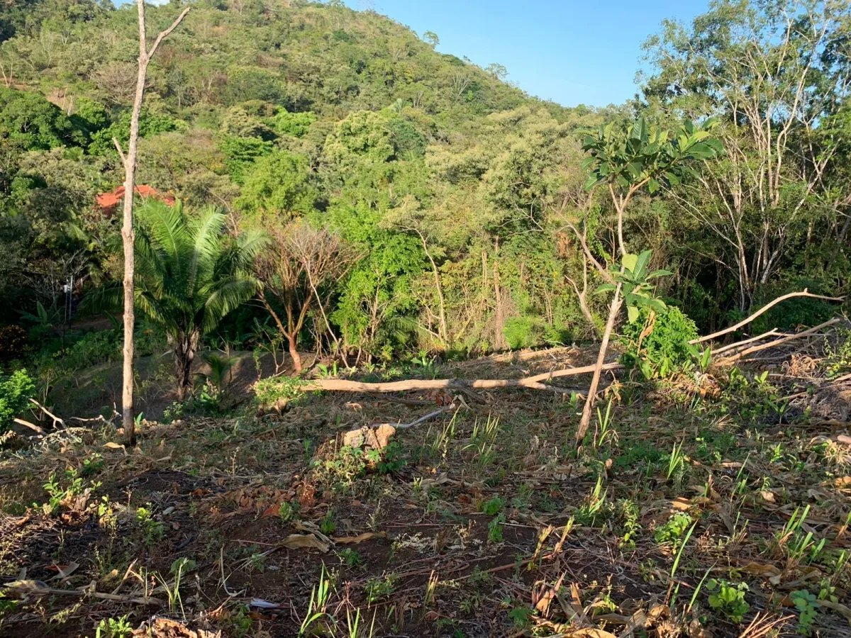 PROPERTY FOR SALE IN SANTA CATALINA, VERAGUAS (THE PROPERTY MEASURES 2...