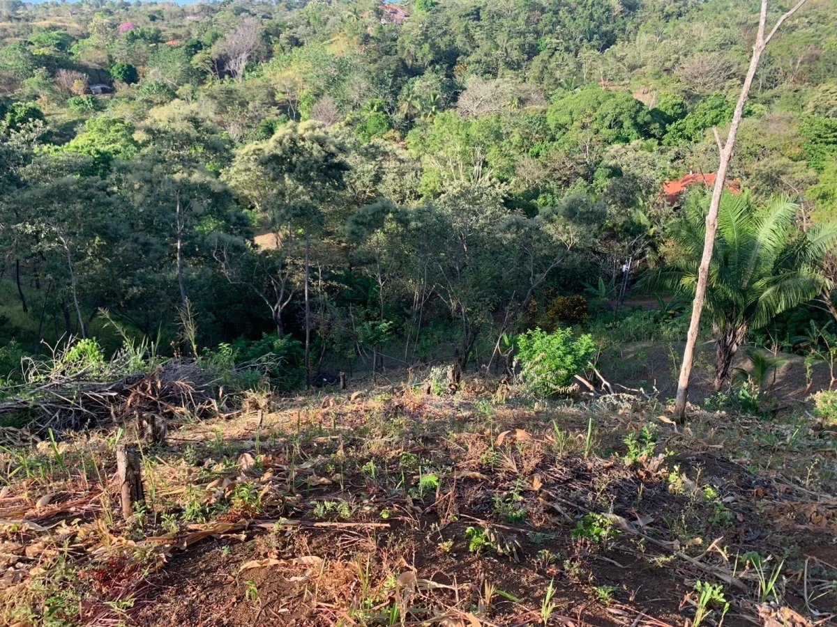 PROPERTY FOR SALE IN SANTA CATALINA, VERAGUAS (THE PROPERTY MEASURES 2...