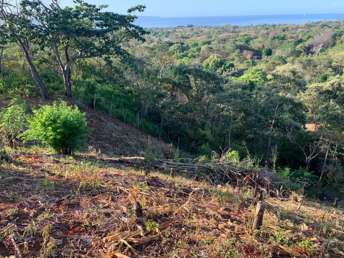 PROPERTY FOR SALE IN SANTA CATALINA, VERAGUAS (THE PROPERTY MEASURES 2...