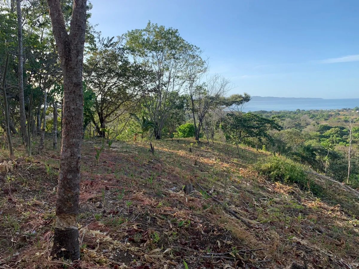 PROPERTY FOR SALE IN SANTA CATALINA, VERAGUAS (THE PROPERTY MEASURES 2400 SQUARE METERS).