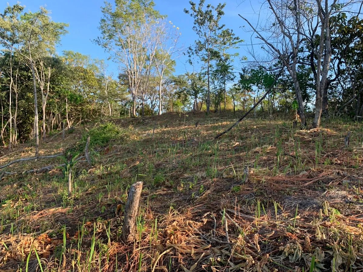 PROPERTY FOR SALE IN SANTA CATALINA, VERAGUAS (THE PROPERTY MEASURES 2400 SQUARE METERS).