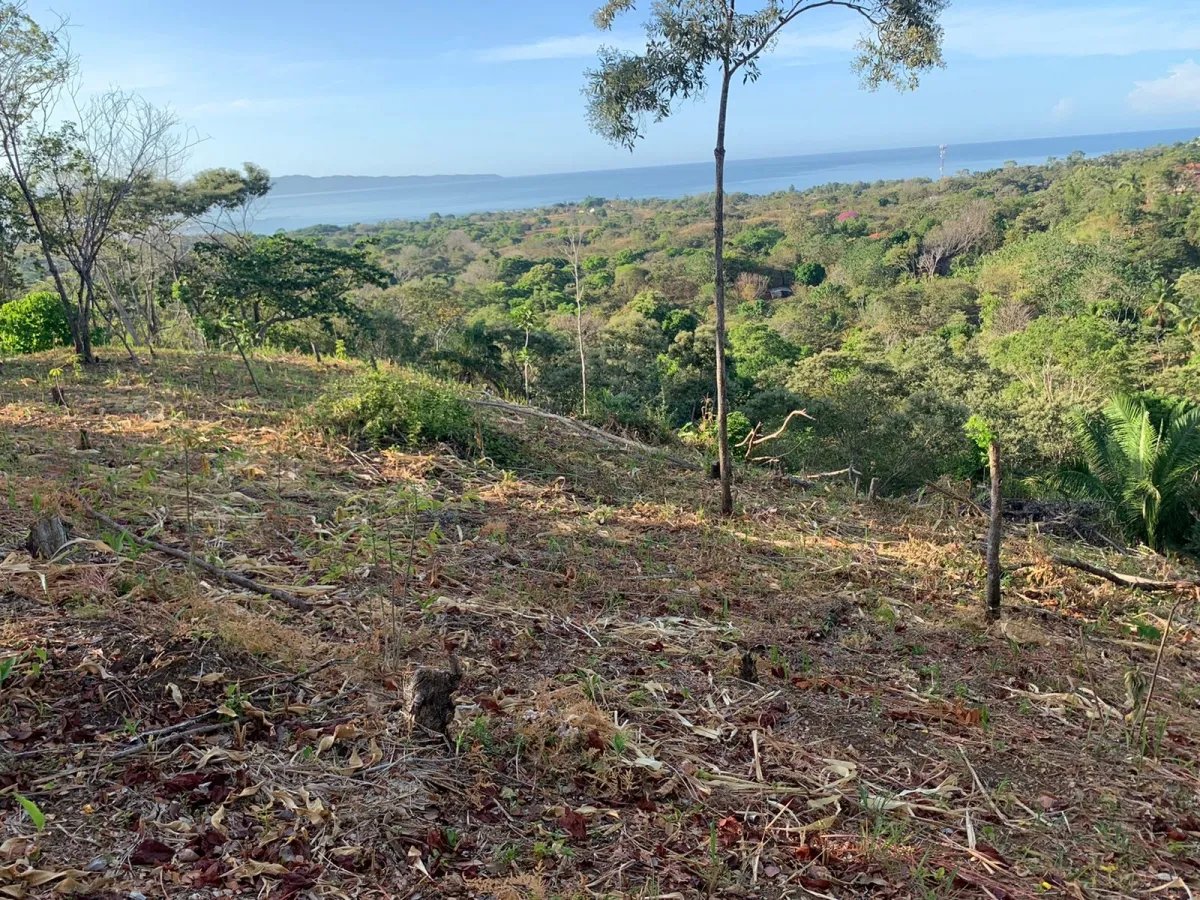 PROPERTY FOR SALE IN SANTA CATALINA, VERAGUAS (THE PROPERTY MEASURES 2400 SQUARE METERS).