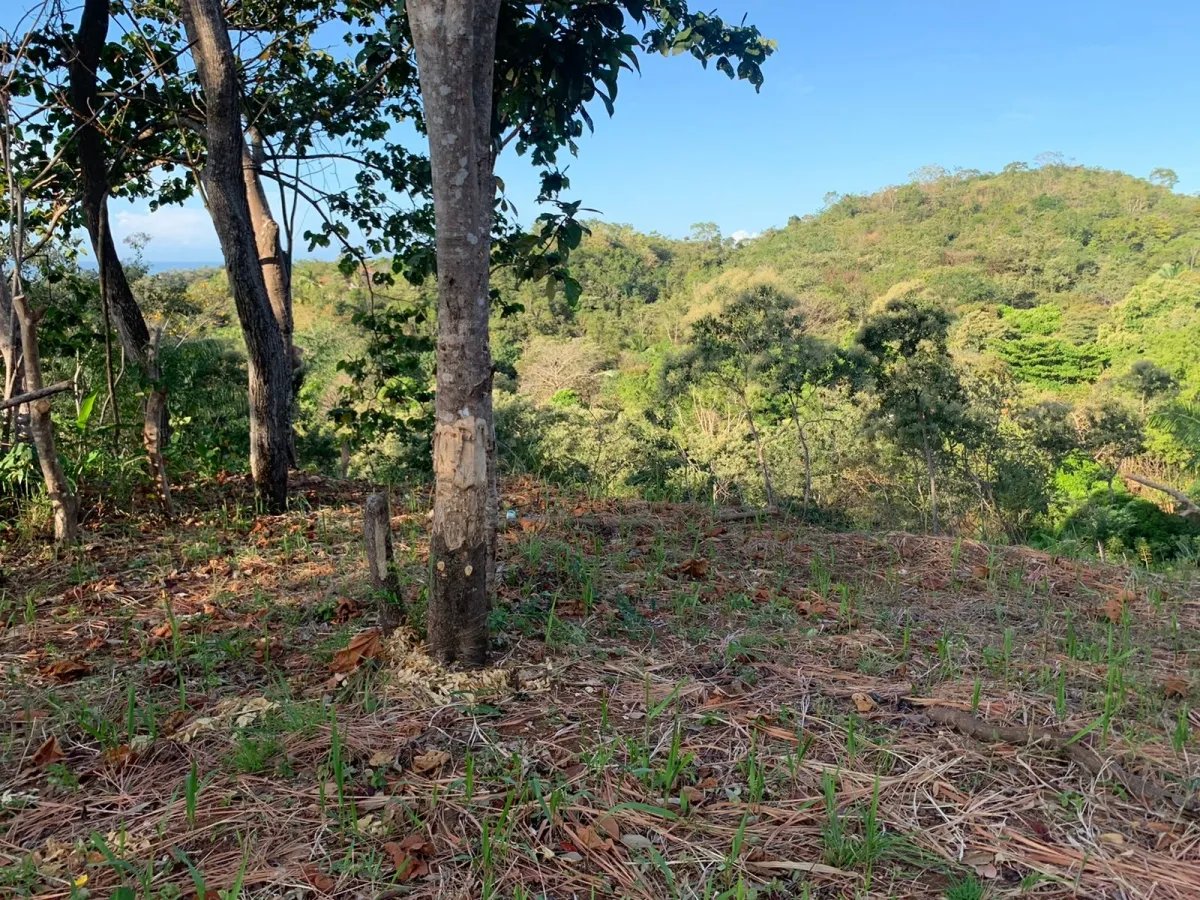PROPERTY FOR SALE IN SANTA CATALINA, VERAGUAS (THE PROPERTY MEASURES 2400 SQUARE METERS).