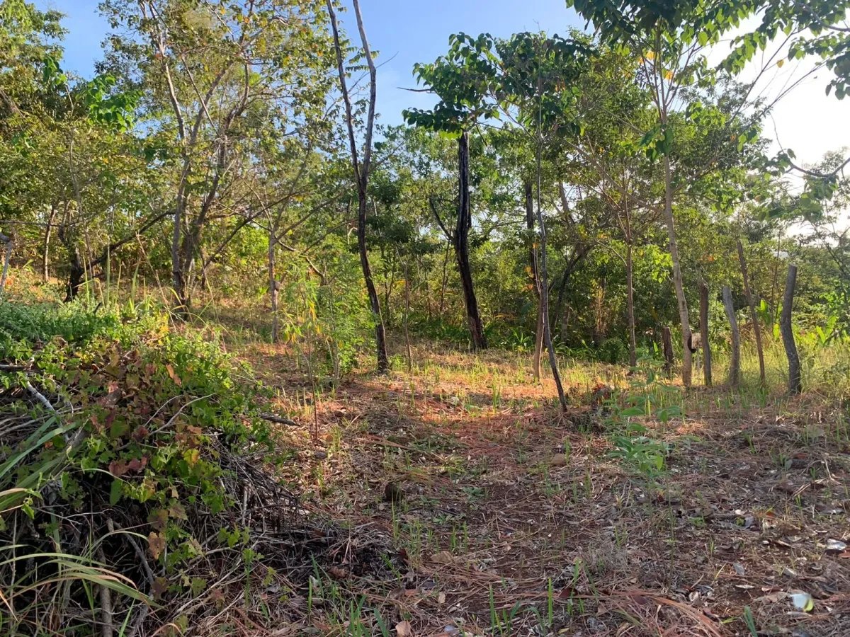 PROPERTY FOR SALE IN SANTA CATALINA, VERAGUAS (THE PROPERTY MEASURES 2400 SQUARE METERS).