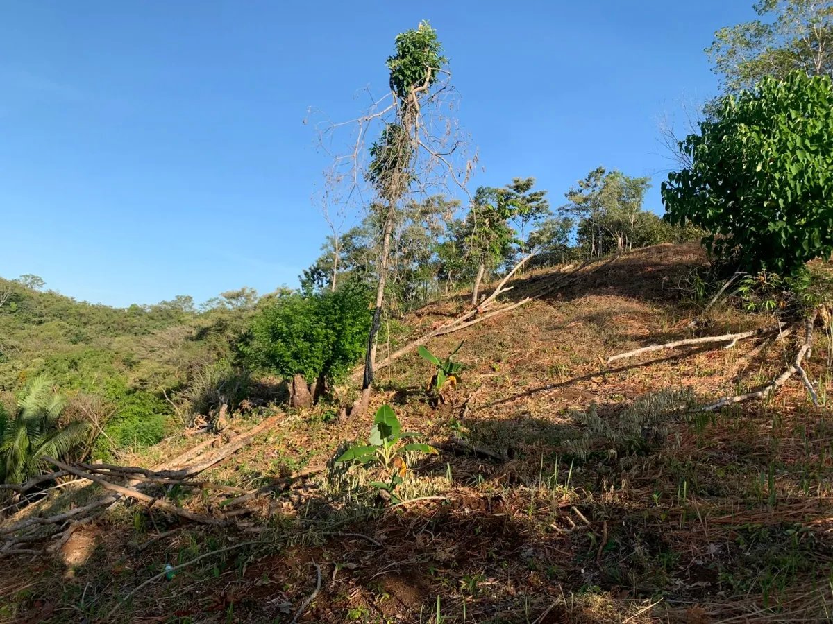 PROPERTY FOR SALE IN SANTA CATALINA, VERAGUAS (THE PROPERTY MEASURES 2400 SQUARE METERS).