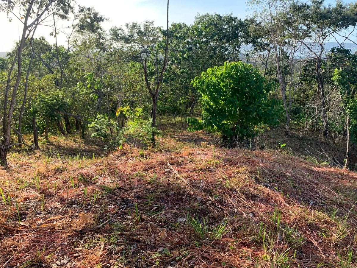 PROPERTY FOR SALE IN SANTA CATALINA, VERAGUAS (THE PROPERTY MEASURES 2400 SQUARE METERS).