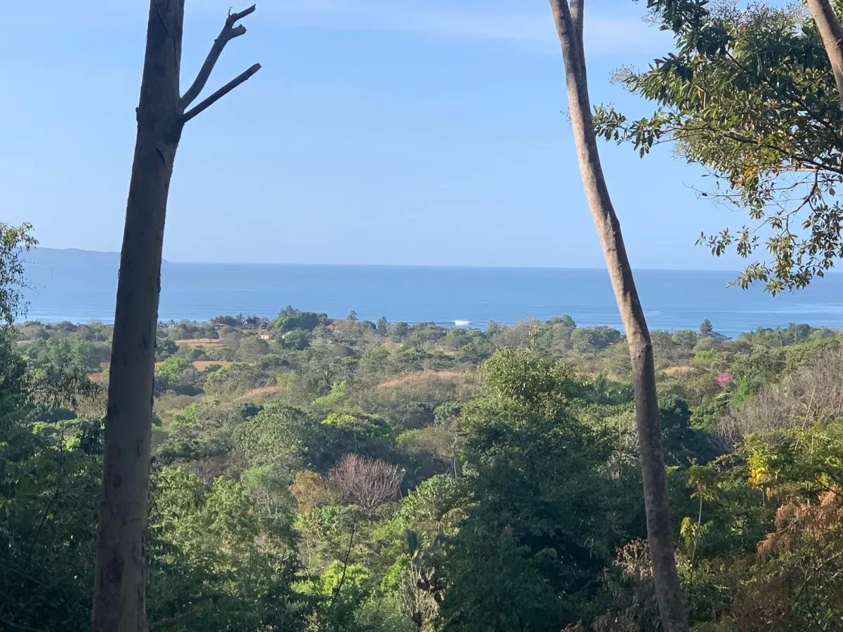 PROPERTY FOR SALE IN SANTA CATALINA, VERAGUAS (THE PROPERTY MEASURES 1...