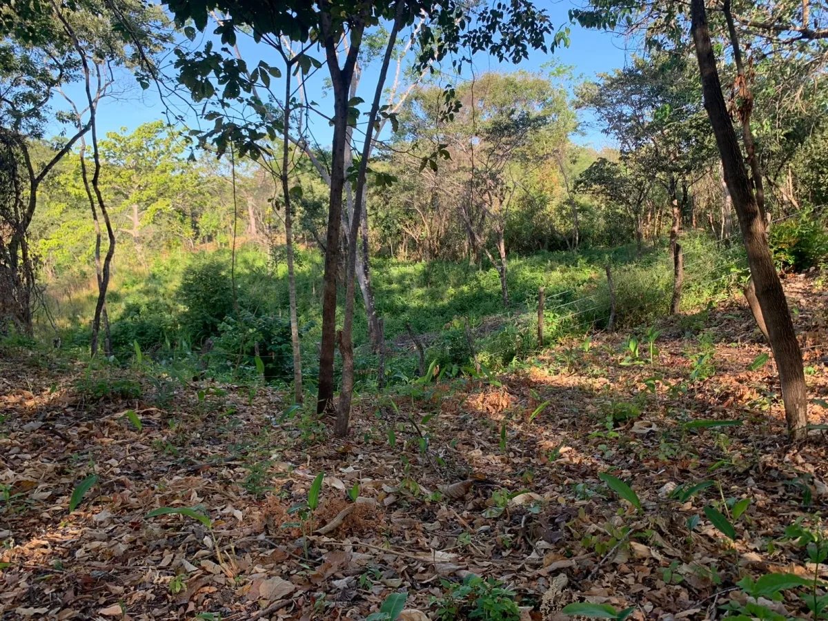PROPERTY FOR SALE IN SANTA CATALINA, VERAGUAS (THE PROPERTY MEASURES 1900 SQUARE METERS).