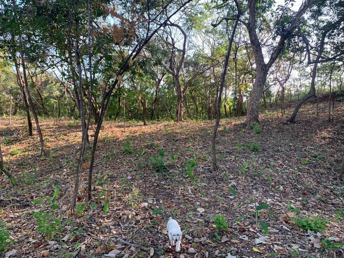 PROPERTY FOR SALE IN SANTA CATALINA, VERAGUAS (THE PROPERTY MEASURES 1900 SQUARE METERS).