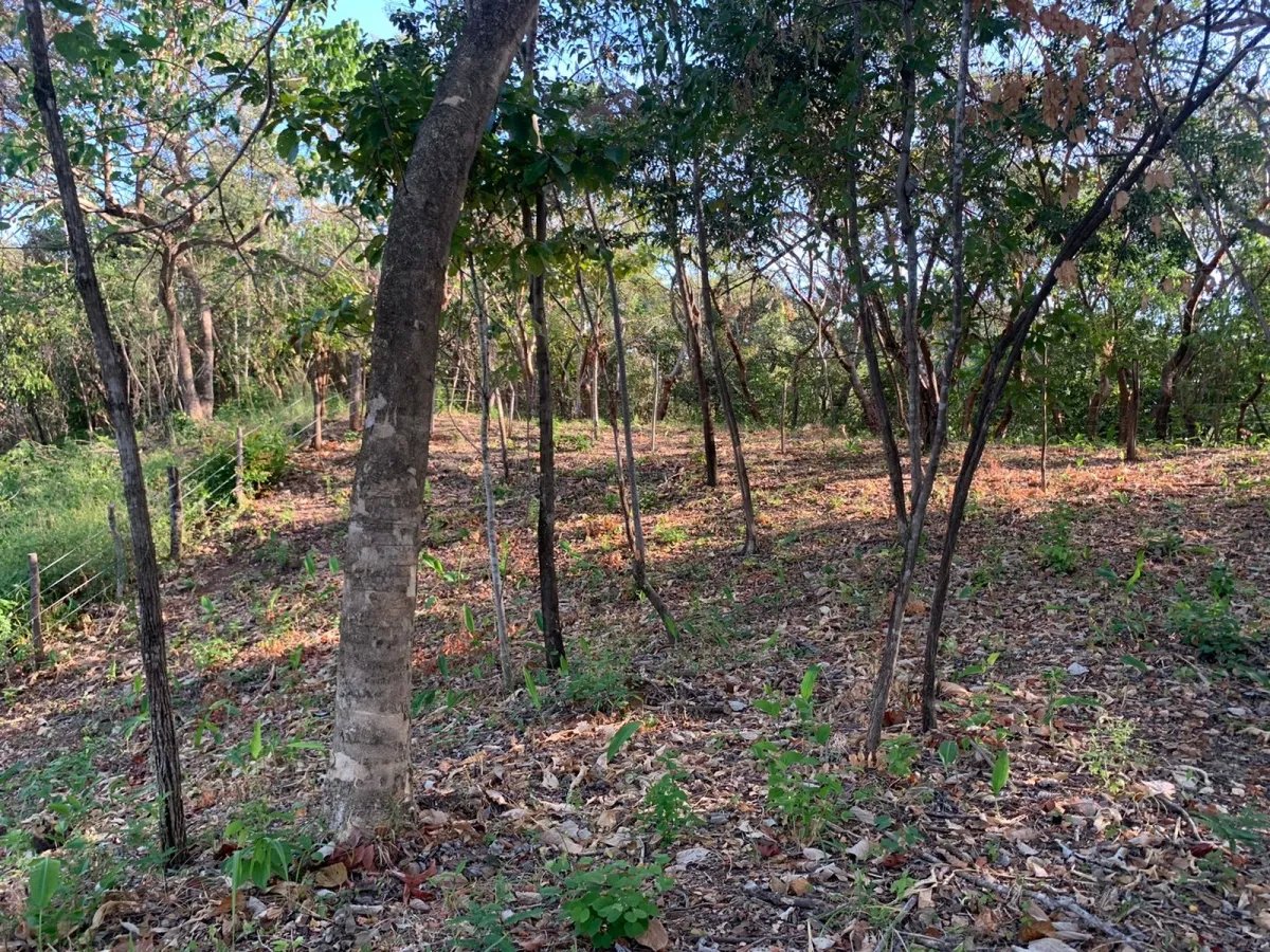 PROPERTY FOR SALE IN SANTA CATALINA, VERAGUAS (THE PROPERTY MEASURES 1900 SQUARE METERS).
