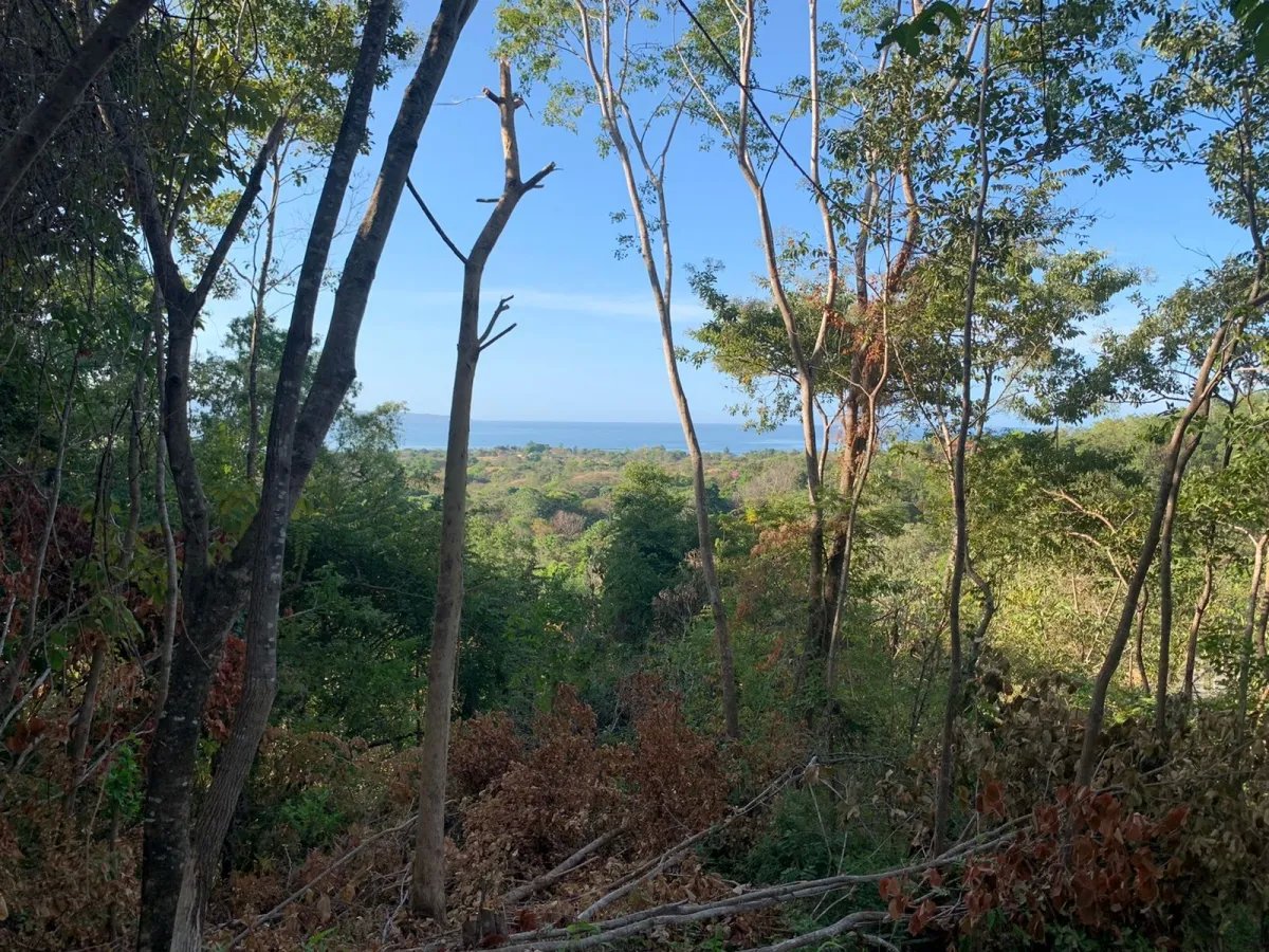 PROPERTY FOR SALE IN SANTA CATALINA, VERAGUAS (THE PROPERTY MEASURES 1900 SQUARE METERS).