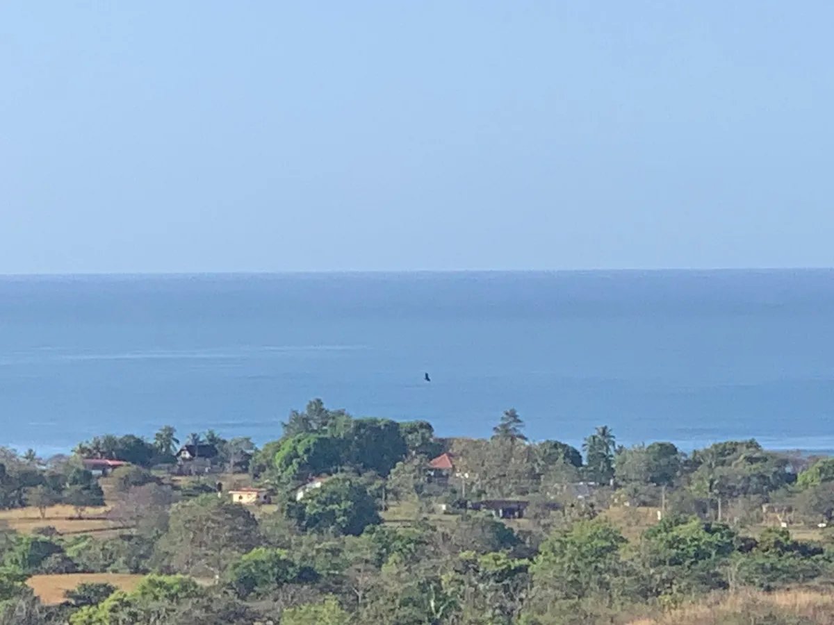 PROPERTY FOR SALE IN SANTA CATALINA, VERAGUAS (THE PROPERTY MEASURES 1900 SQUARE METERS).
