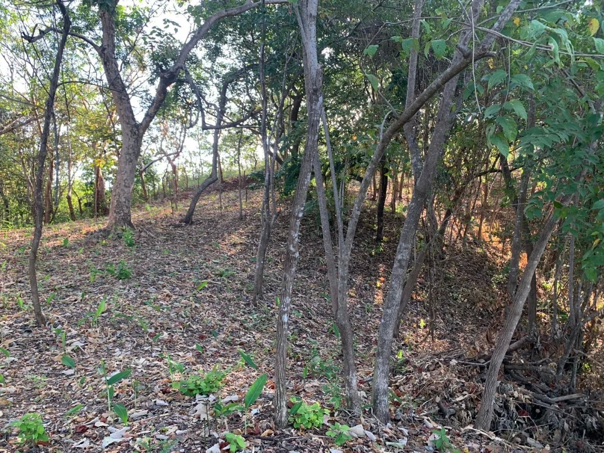 PROPERTY FOR SALE IN SANTA CATALINA, VERAGUAS (THE PROPERTY MEASURES 1900 SQUARE METERS).