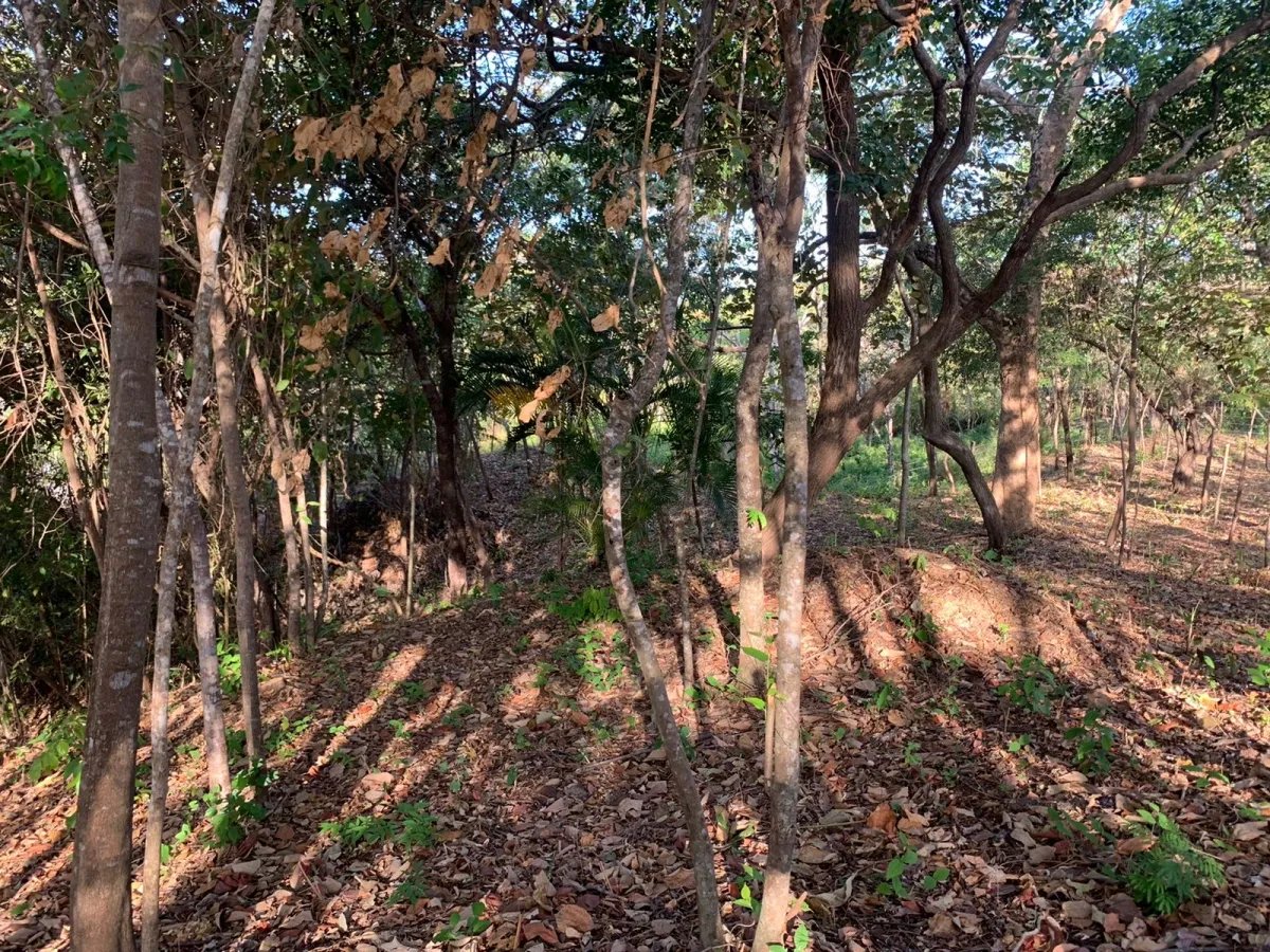PROPERTY FOR SALE IN SANTA CATALINA, VERAGUAS (THE PROPERTY MEASURES 1900 SQUARE METERS).