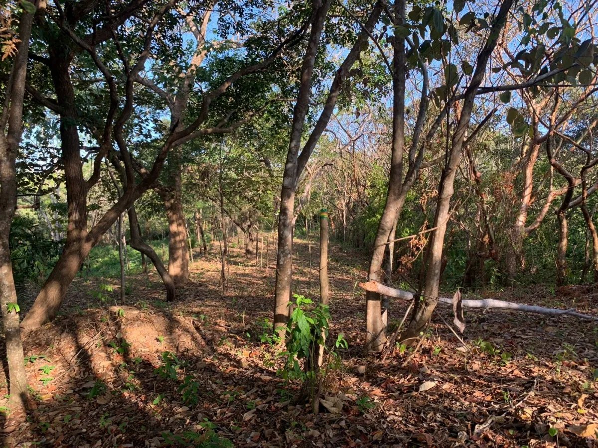 PROPERTY FOR SALE IN SANTA CATALINA, VERAGUAS (THE PROPERTY MEASURES 1900 SQUARE METERS).